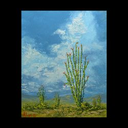 Ocotillo Garden